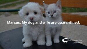 Marcus: My dog and wife are quarantines