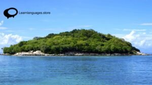 French highlight: 5 Virtual Field Trips