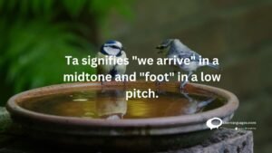 Ta Signifies " we arrive" in a midtone and "foot " in a low pitch.