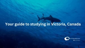 your guide to studying in Victoria ,Canada