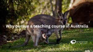Why pursue a teaching course in Australia ?