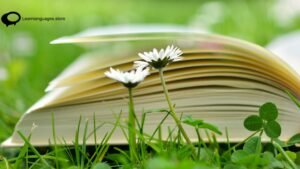 Colombian Slang Terms by Region: From Greetings to Insults to Love!