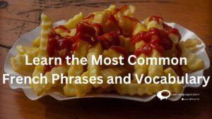Learn the Most common French Phrases and Vocabulary