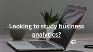 Looking to Study Business Analytics