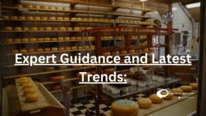 Expert Guidance and Latest Trends: