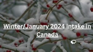 winter/January 2024 intake in Canada