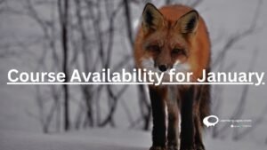 course Availability for January.