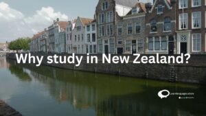 Why study in New Zealand ?