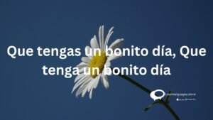 AQue tengas un bonito dia