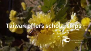 Taiwan offers scholarships