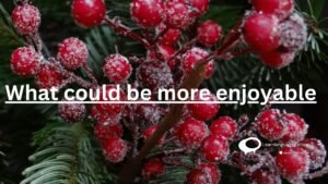 WHAT COULD BE MORE ENJOYABLE