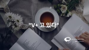 V+ 고 있다