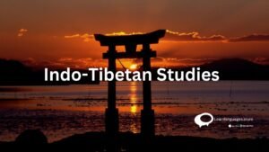 indo-tibetan studies