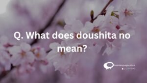 What does doushita no mean?