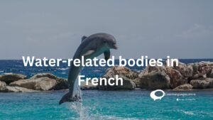 Water-related bodies in French