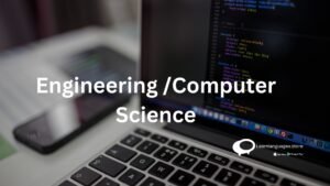 Engineering/Computer science