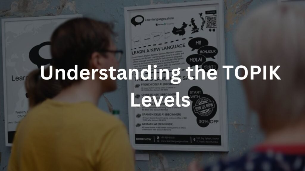 Understanding the TOPIK Levels