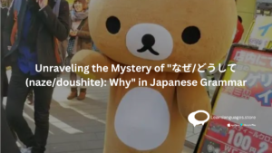 JAPANESE TEDDY BEAR WITH TEXT Unraveling the Mystery of なぜどうして (nazedoushite) Why in Japanese Grammar WRITTEN ON IT