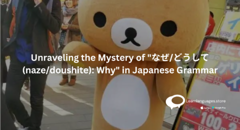 JAPANESE TEDDY BEAR WITH TEXT Unraveling the Mystery of なぜどうして (nazedoushite) Why in Japanese Grammar WRITTEN ON IT
