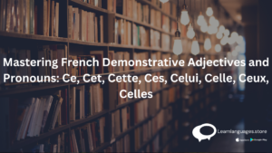 French demonstrative adjectives and pronouns