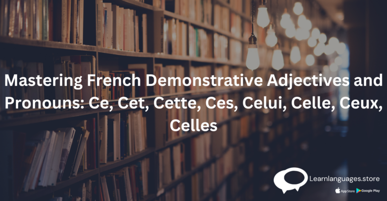 French demonstrative adjectives and pronouns