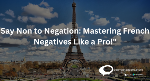 Mastering French Negation