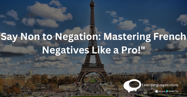 Mastering French Negation