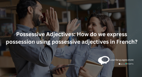 French Possessive Adjectives Chart