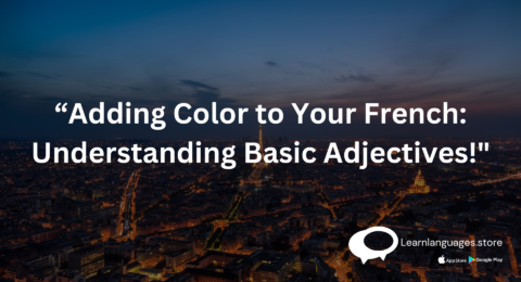 "French language learning concept