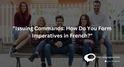 French imperative mood examples with explanations.