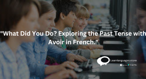 "French Grammar Guide"