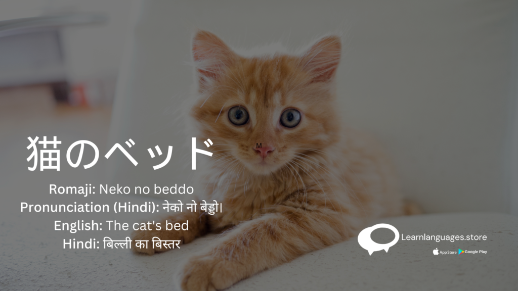 Illustration of a cat sitting next to a person