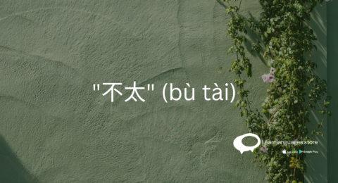 Chinese grammar explanation of using '不太' (bù tài) to express 'not very'.