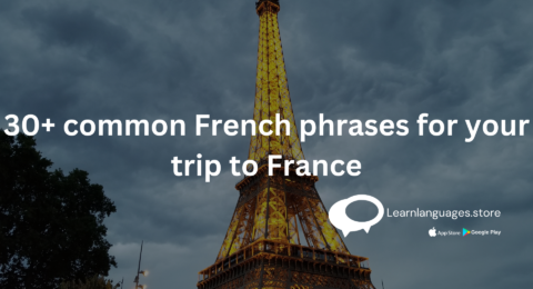 best french classes in navi mumbai learnlanguagestore