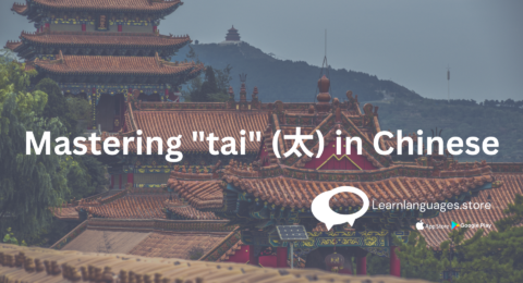 the use of "太" (tài) in Chinese sentences to express extremes and intensities.