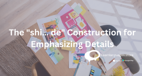 'shi... de' construction in Chinese grammar