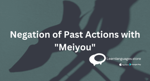 "Chinese character 没有 (méiyǒu) used for negating past actions."