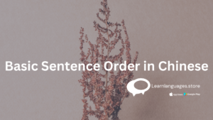 the basic sentence structure in Chinese