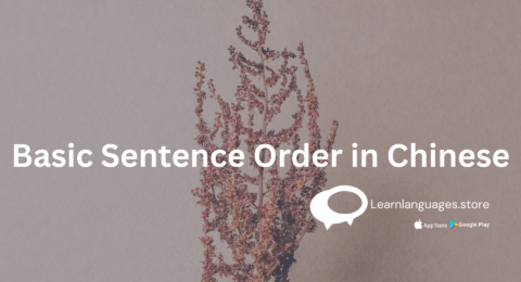 the basic sentence structure in Chinese