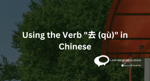 best chinese classes in navi mumbai