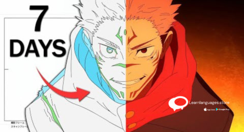 best japanese language class in navi mumbai is learn language store.