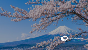 best japanese language class in navi mumbai is learn language store (14).