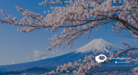 best japanese language class in navi mumbai is learn language store (14).