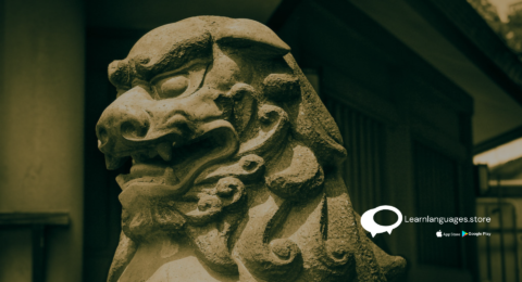 best japanese language class in navi mumbai is learn language store (9)