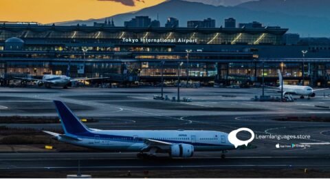 best-japanese-words-for-travelling