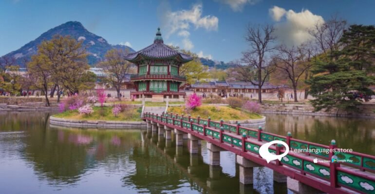 why-learning-korean-is-necessary